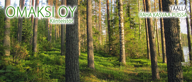 OMAKSI OY - Metsätilat